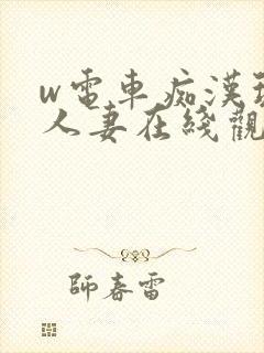 w电车痴汉玩弄人妻在线观看