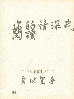 你的情深我不配阅读