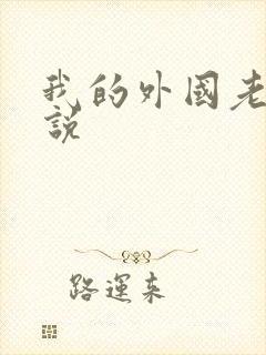 我的外国老婆小说