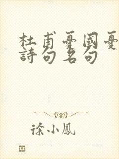 杜甫忧国忧民的诗句名句