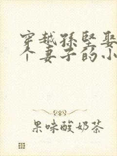 穿越孙坚娶了三个妻子的小说