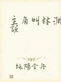 主角叫林渊的小说封面