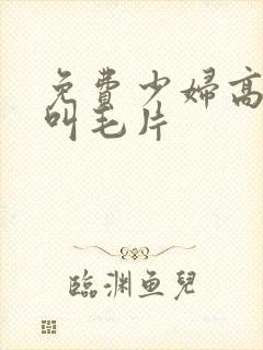 免费少妇高潮大叫毛片