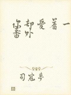 你却爱着一个他番外