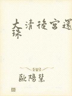 大清后宫还君明珠