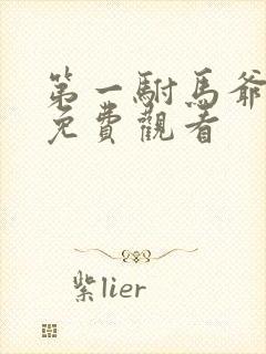 第一驸马爷全集免费观看