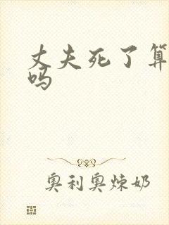 丈夫死了算离婚吗封面