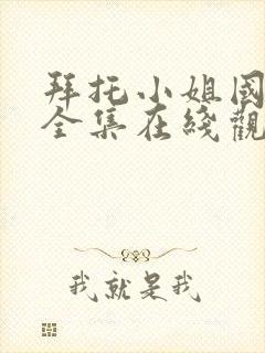 拜托小姐国语版全集在线观看高清封面