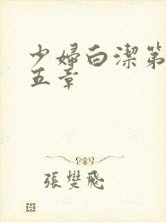 少妇白洁第二十五章