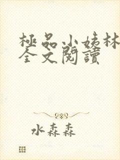 极品小姨林浩云全文阅读封面
