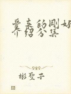 爱来的刚好剧情介绍分集封面