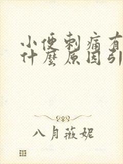 小便刺痛有血是什么原因引起的封面