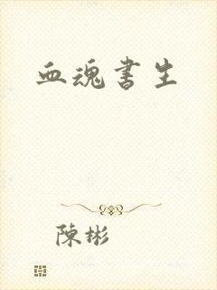 血魂书生封面