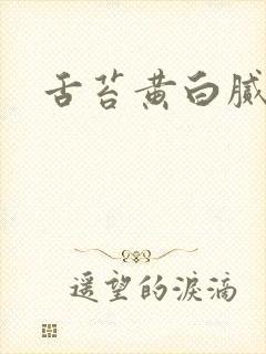 舌苔黄白腻齿痕