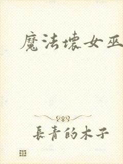 魔法坏女巫剧情