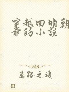 穿越回明朝当王爷的小说封面