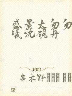 盛景太匆匆宁若曦沈砚舟