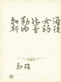 加勒比女海盗2斯内蒂的复仇在线观看