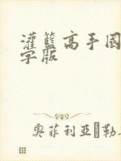 灌篮高手国语中字版