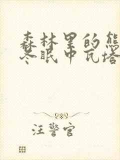 森林里的熊先生冬眠中瓦塔里封面