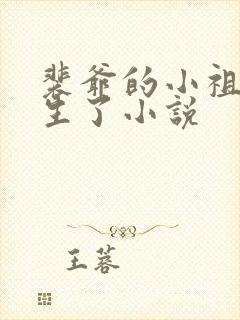 裴爷的小祖宗重生了小说封面