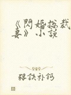 《闪婚总裁契约妻》小说