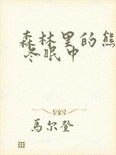 森林里的熊先生 冬眠中