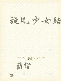 旋风少女结局封面