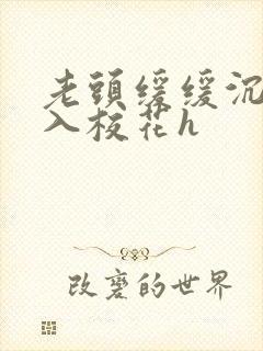 老头缓缓沉腰进入校花h封面