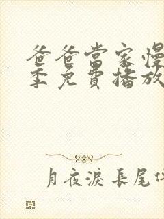 爸爸当家慢享记季免费播放