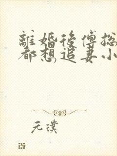 离婚后傅总每天都想追妻小说免费阅读