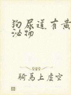 狗尿道有黄色分泌物