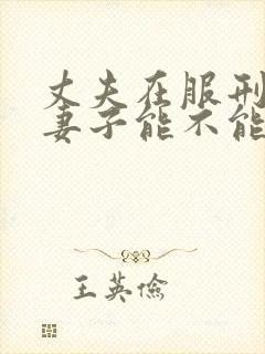 丈夫在服刑期间妻子能不能提出离婚