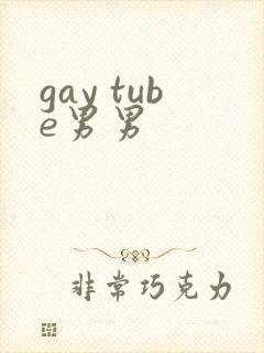 gay tube男男