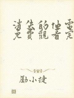 消失的他电视剧免费观看完整版封面