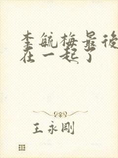 李毓梅最后和谁在一起了封面