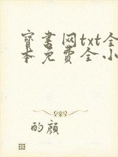 宝书网txt全本免费全小说