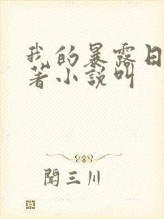 我的暴露日记原著小说叫