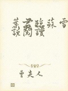 叶君临苏雪儿小说阅读