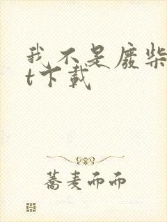 我不是废柴txt下载