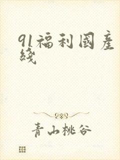 91福利国产在线