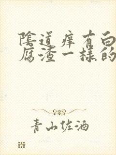 阴道痒有白色豆腐渣一样的东西