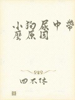 小狗尿中带血什么原因