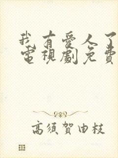 我有爱人了韩剧电视剧免费观看全集