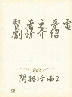 贤者之爱电视剧剧情介绍封面