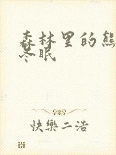 森林里的熊先生冬眠封面