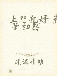 上门龙婿 叶辰 萧初然