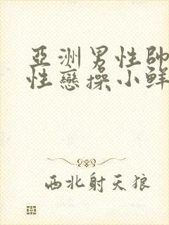 亚洲男性帅哥同性恋操小鲜肉逼