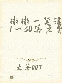 微微一笑很倾城1～30集免费观看封面