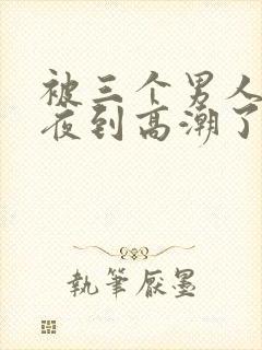 被三个男人躁一夜到高潮了封面